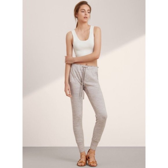 Aritzia Pants - Aritzia Golden by TNA Mcintyre Jogger Pants Grey